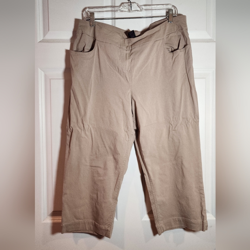 Slim-Sation Tan Stretch Cropped Pants Tummy Control Size 18
